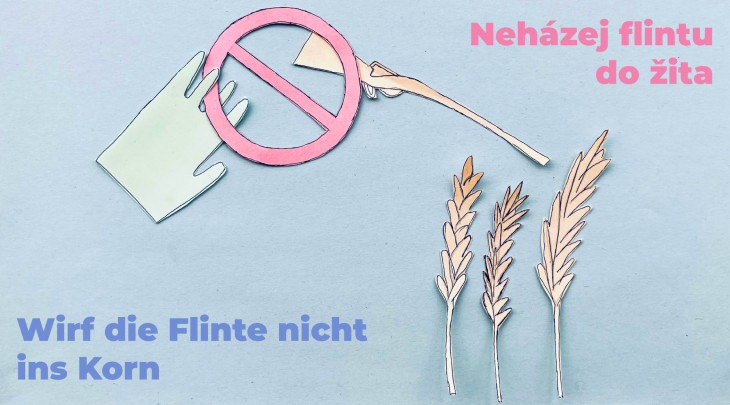 Kurzy češtiny od září